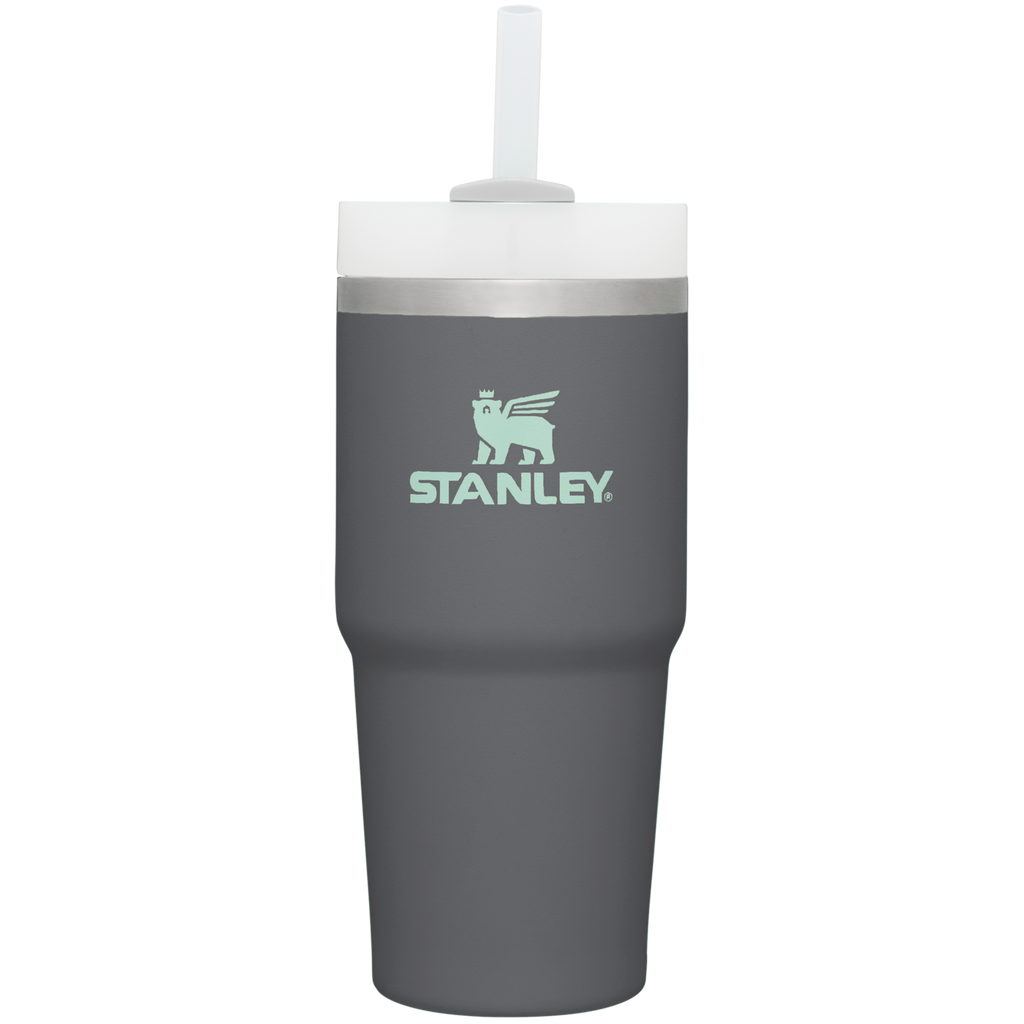 The Quencher H2.0 FlowState™ Tumbler  | 14 OZ - Stanley Create - Daily Hydration Choice