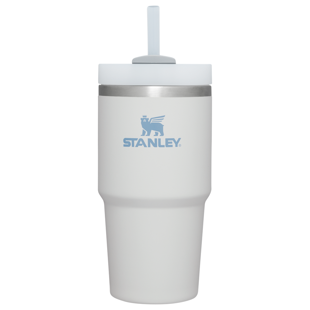 The Quencher H2.0 FlowState™ Tumbler | 20 OZ - Carry the Day