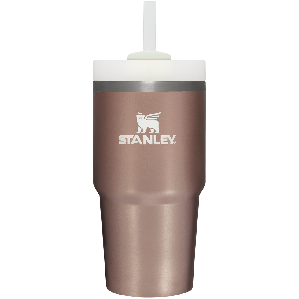The Quencher H2.0 FlowState™ Tumbler | 20 OZ - Carry the Day