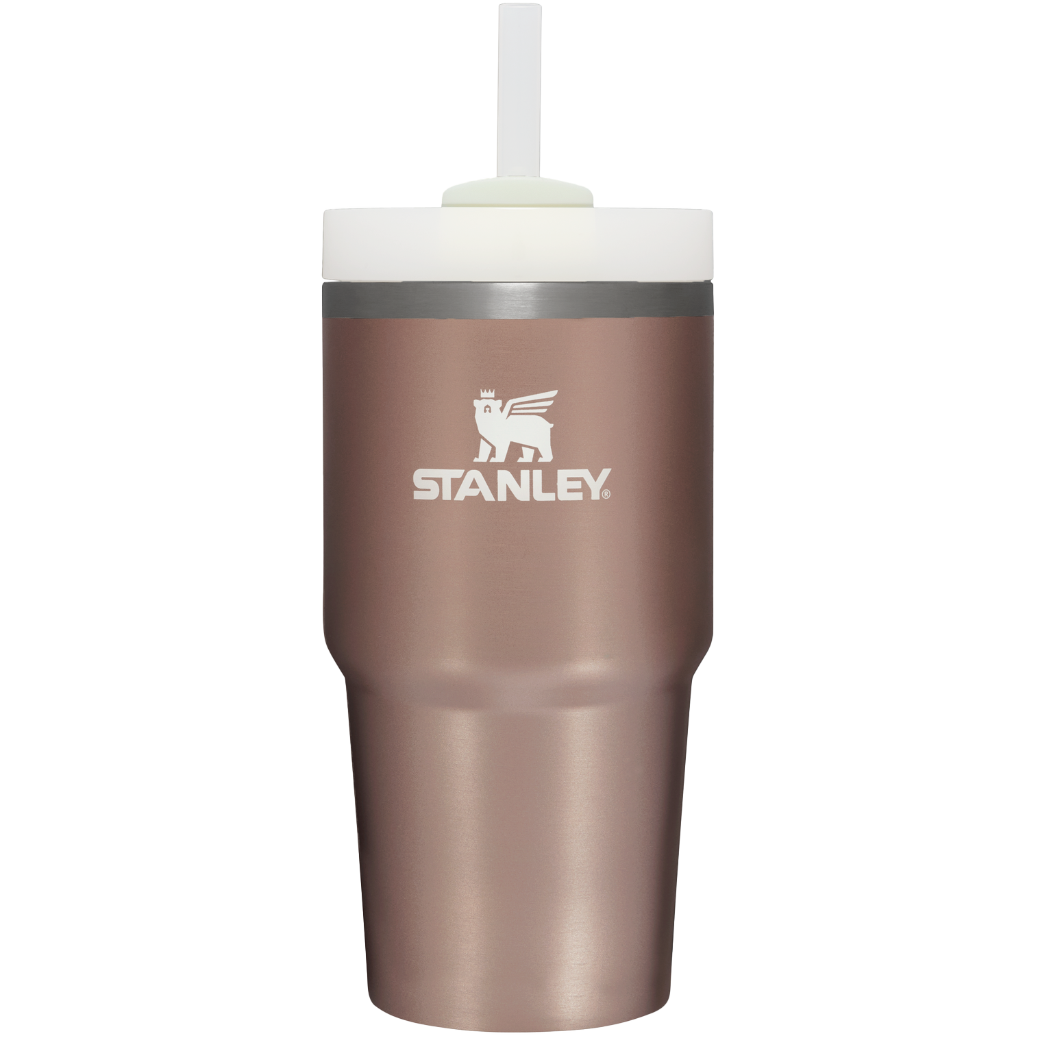 The Quencher H2.0 FlowState™ Tumbler | 20 OZ - Carry the Day