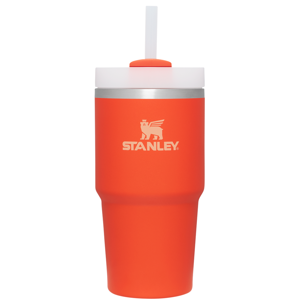 The Quencher H2.0 FlowState™ Tumbler | 20 OZ - Stanley Create - Hydration Made Simple