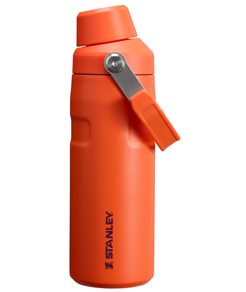 IceFlow™ Bottle with Fast Flow Lid | 16 OZ - Everyday Stanley Essential