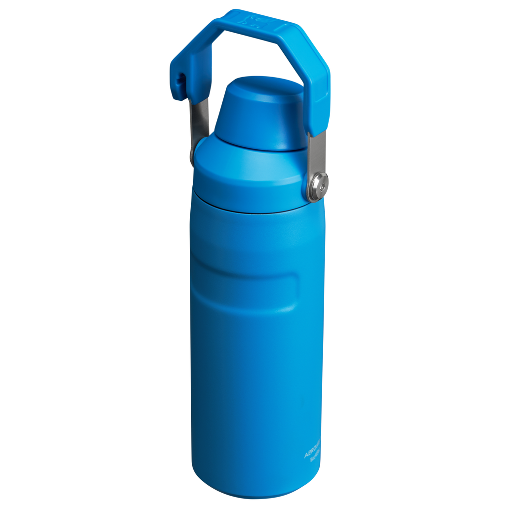 IceFlow™ Bottle with Fast Flow Lid | 16 OZ - Everyday Stanley Essential