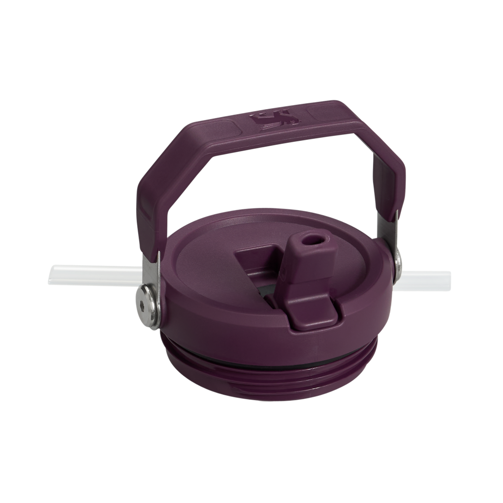 The IceFlow™ Flip Straw Tumbler | 20 OZ - Simple Daily Sips