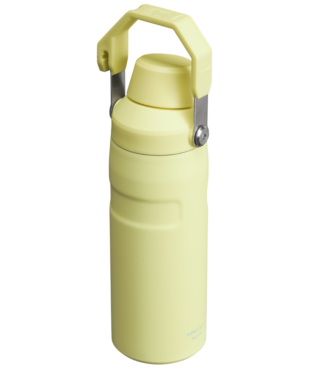 IceFlow™ Bottle with Fast Flow Lid | 16 OZ - Everyday Stanley Essential