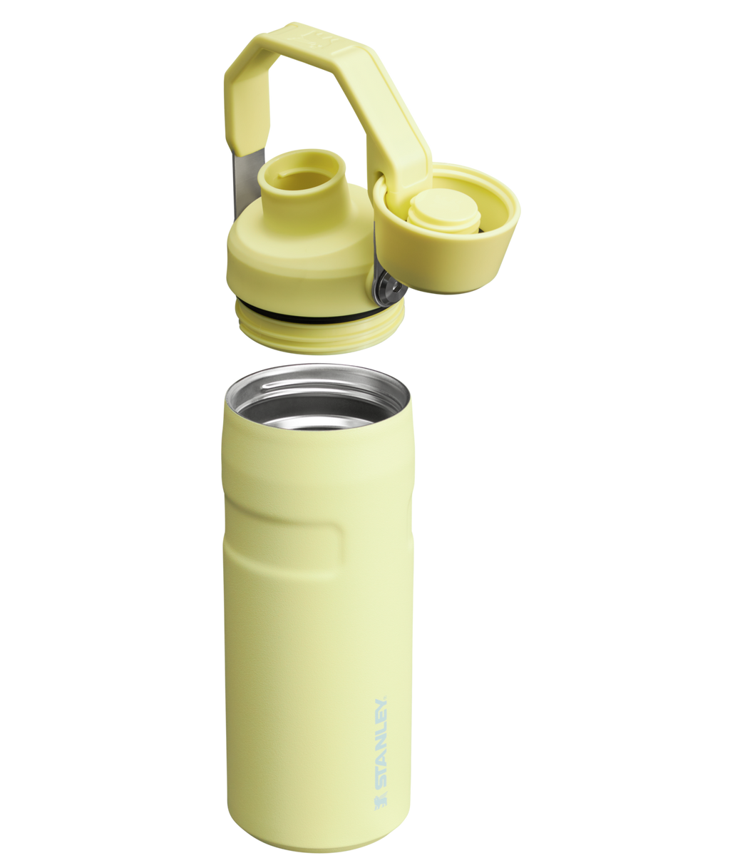 IceFlow™ Bottle with Fast Flow Lid | 16 OZ - Everyday Stanley Essential