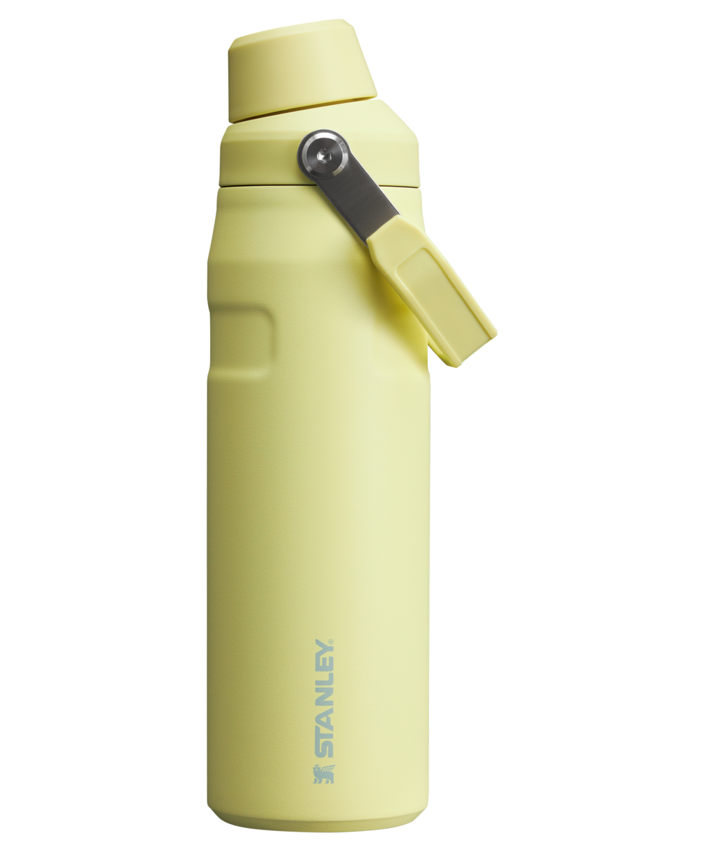 IceFlow™ Bottle with Fast Flow Lid | 24 OZ - Stanley Create - Ready for Any Day