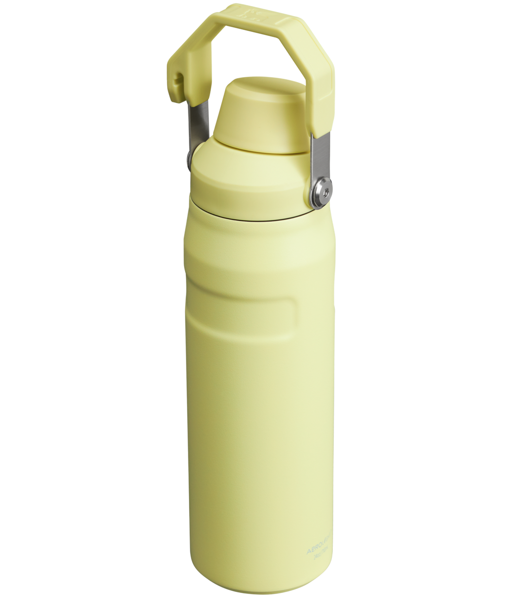 IceFlow™ Bottle with Fast Flow Lid | 24 OZ - Stanley Create - Ready for Any Day
