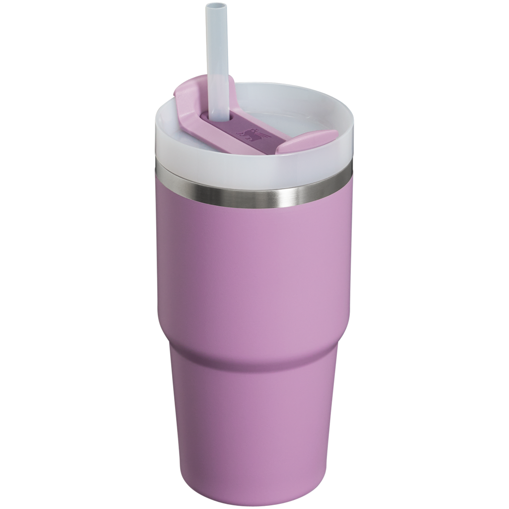 The Quencher H2.0 FlowState™ Tumbler | 20 OZ - Carry the Day