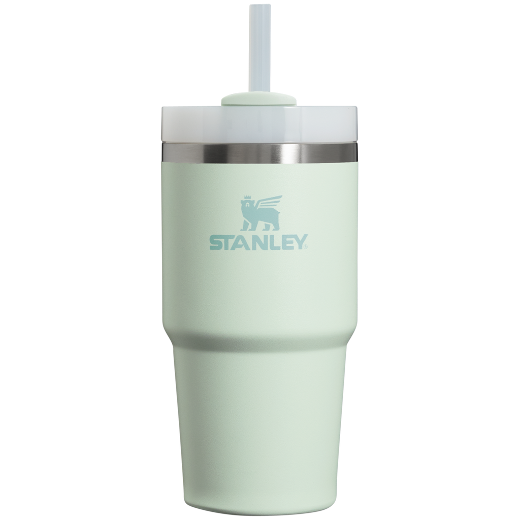 The Quencher H2.0 FlowState™ Tumbler | 20 OZ - Carry the Day