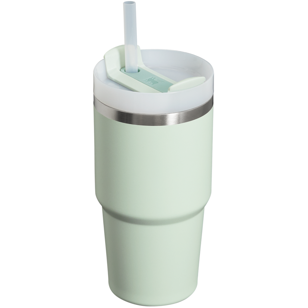 The Quencher H2.0 FlowState™ Tumbler | 20 OZ - Carry the Day