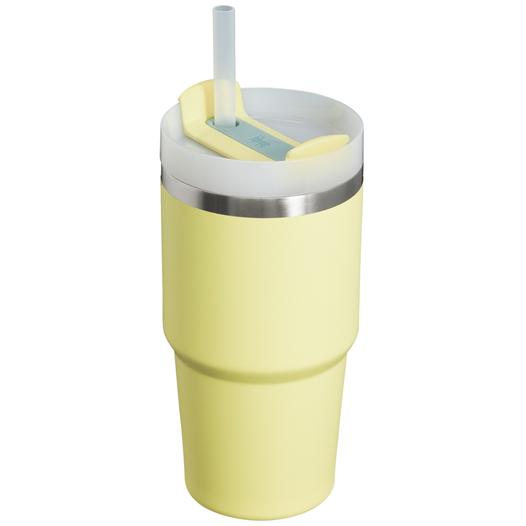 The Quencher H2.0 FlowState™ Tumbler | 20 OZ - Carry the Day