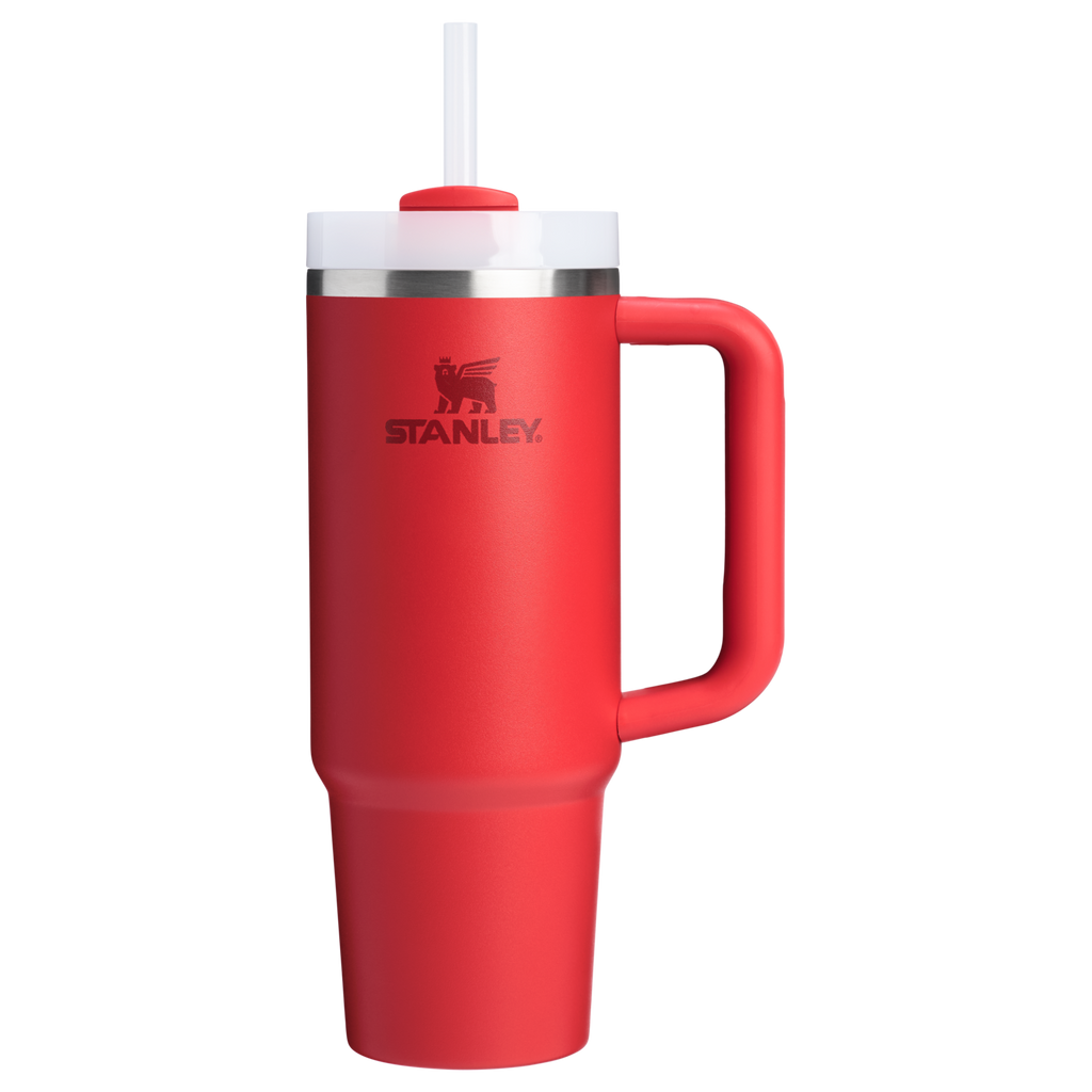 The Quencher H2.0 FlowState™ Tumbler | 20 OZ - Carry the Day
