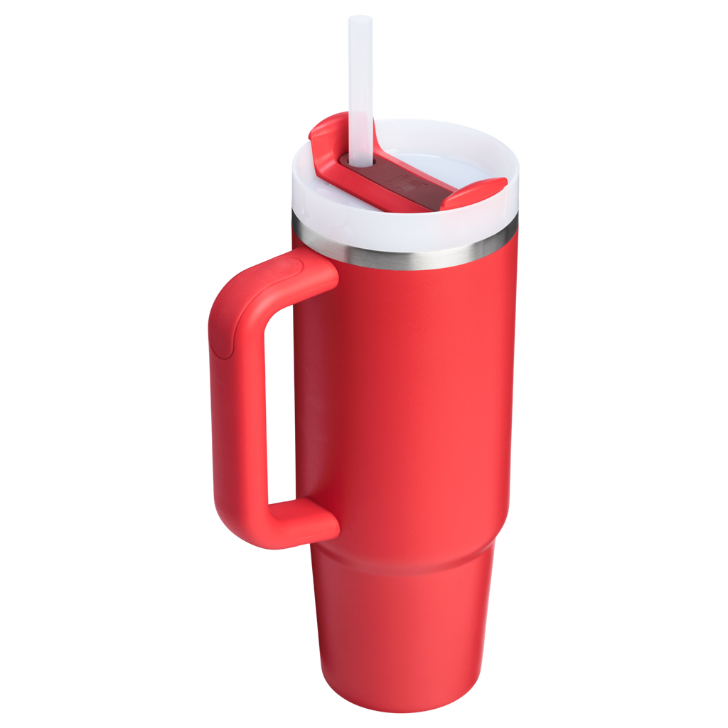 The Quencher H2.0 FlowState™ Tumbler | 20 OZ - Carry the Day