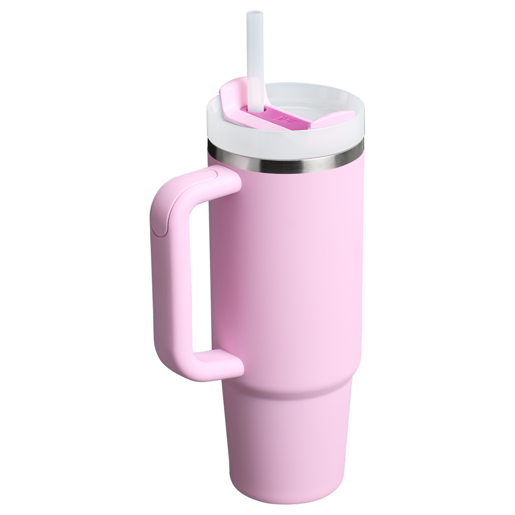 The Quencher H2.0 FlowState™ Tumbler | 20 OZ - Carry the Day