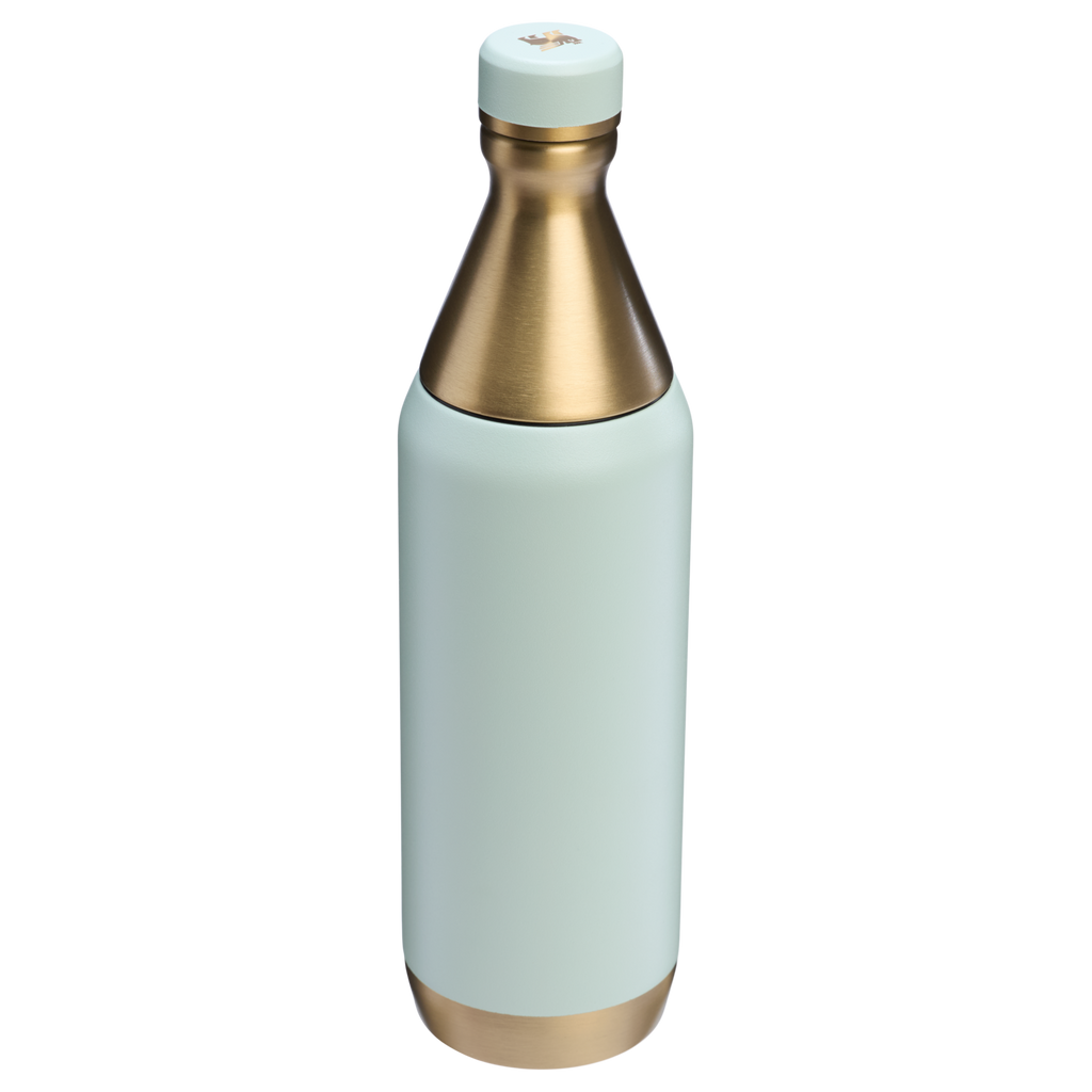 All Day Slim Bottle | 20 OZ - Stanley Create - Water Within Reach