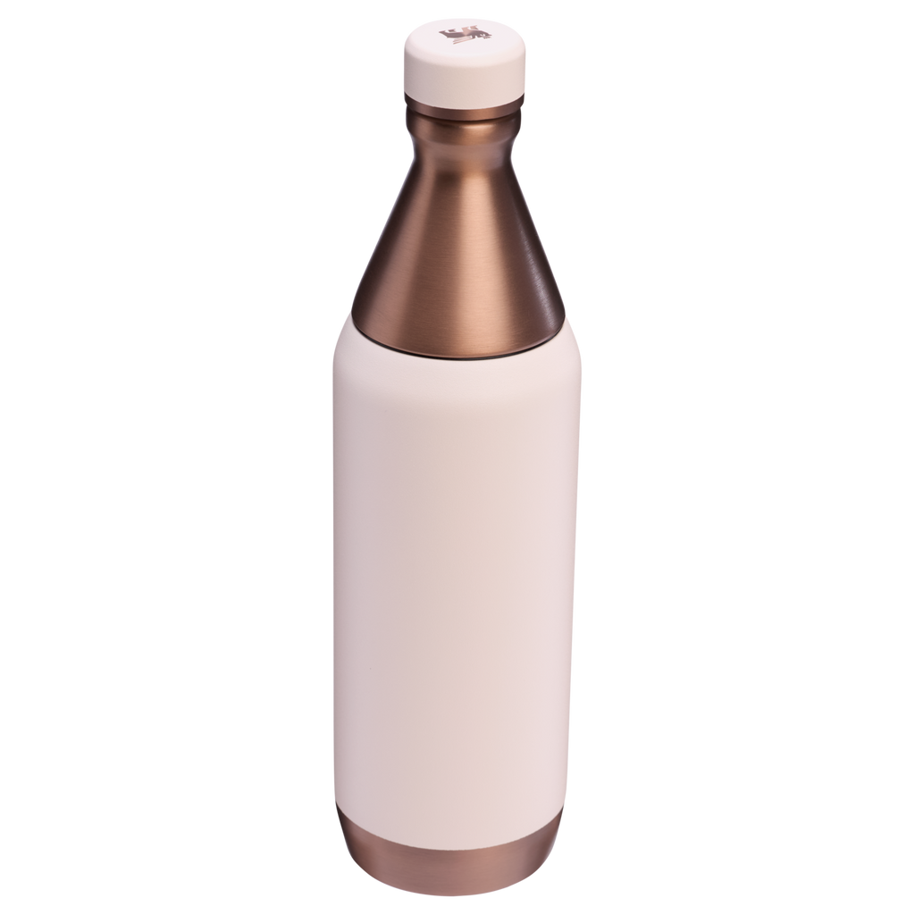 All Day Slim Bottle | 20 OZ - Stanley Create - Water Within Reach