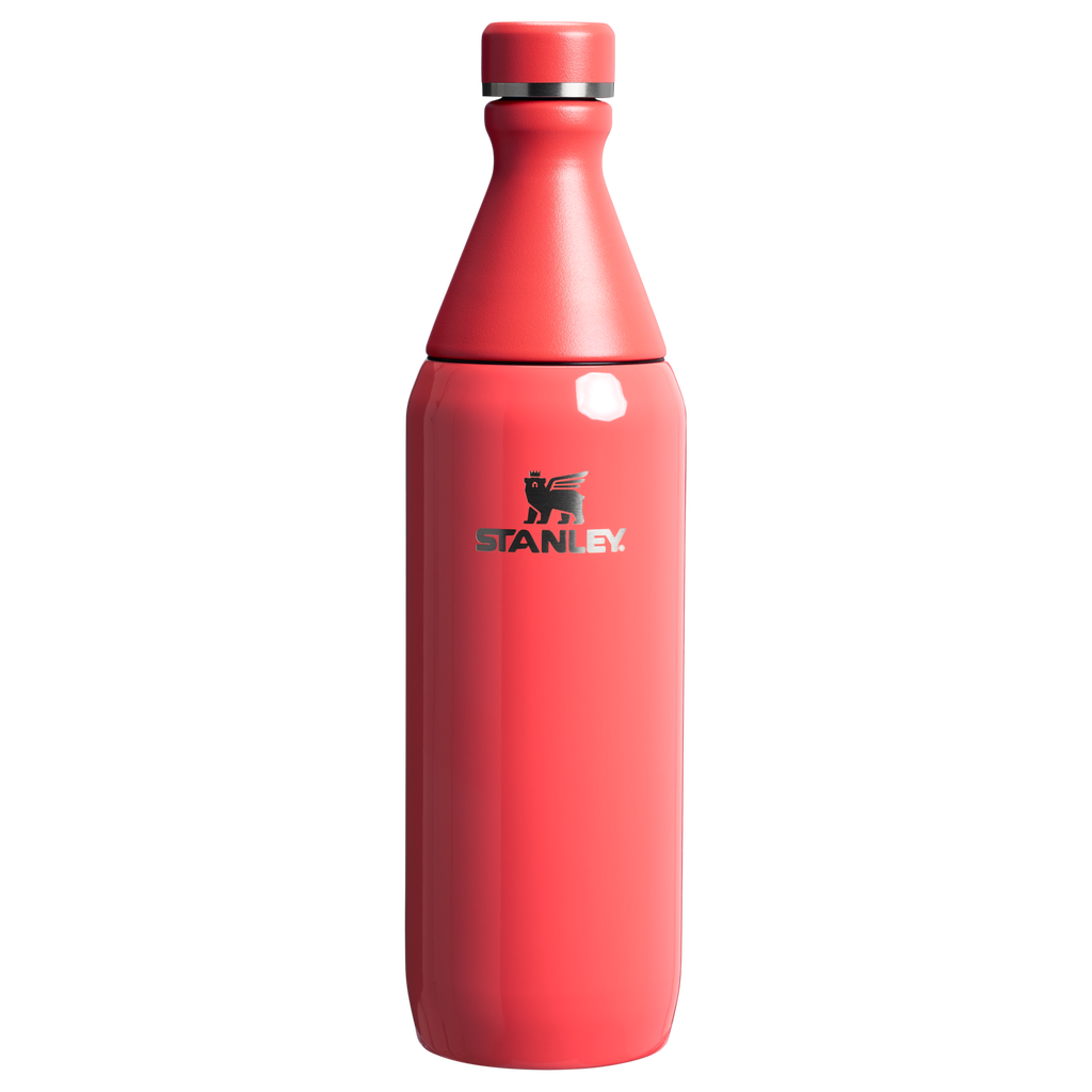 All Day Slim Bottle | 20 OZ - Stanley Create - Water Within Reach