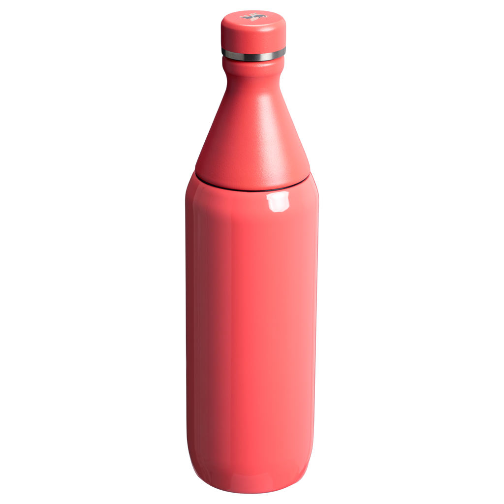 All Day Slim Bottle | 20 OZ - Stanley Create - Water Within Reach