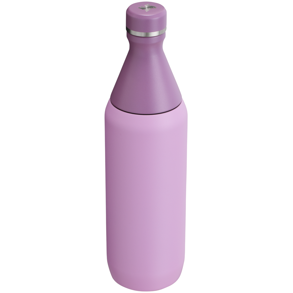 All Day Slim Bottle | 20 OZ - Stanley Create - Water Within Reach