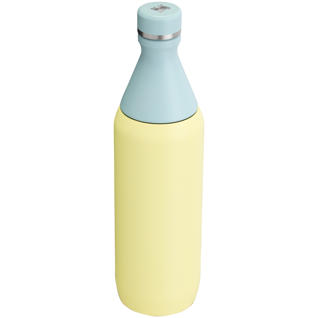 All Day Slim Bottle | 20 OZ - Stanley Create - Water Within Reach