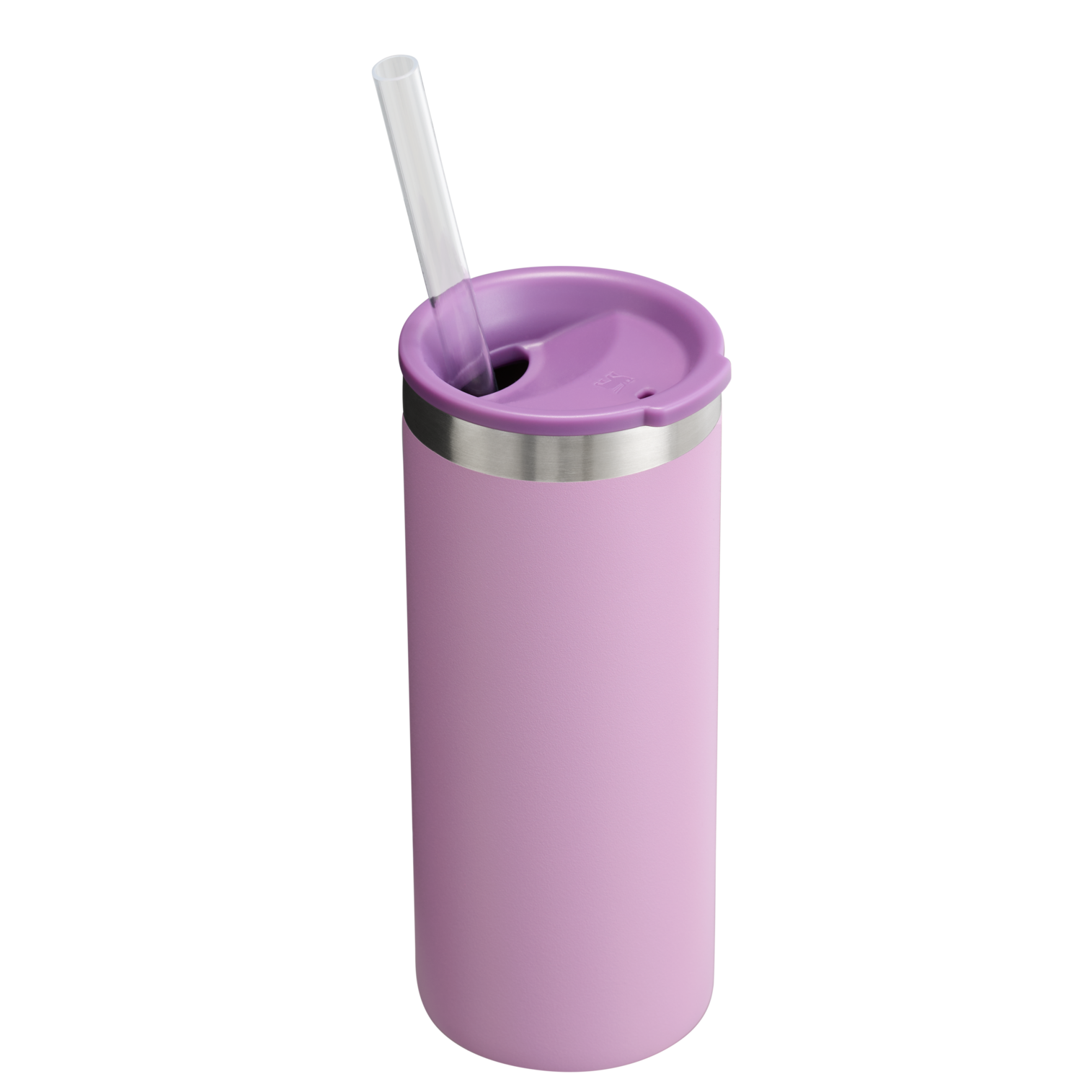 The Everyday Slim Can Cooler Cup | 10 OZ - Stanley Create - Stanley for Gym