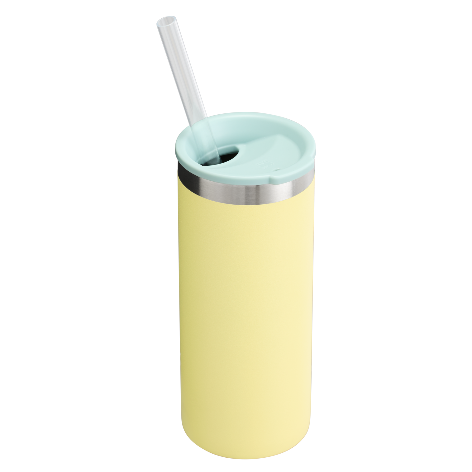 The Everyday Slim Can Cooler Cup | 10 OZ - Stanley Create - Stanley for Gym