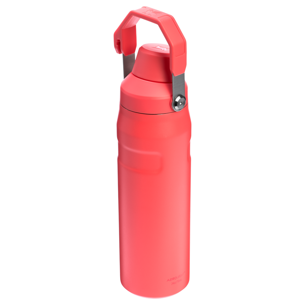 IceFlow™ Bottle with Fast Flow Lid | 24 OZ - Stanley Create - Ready for Any Day