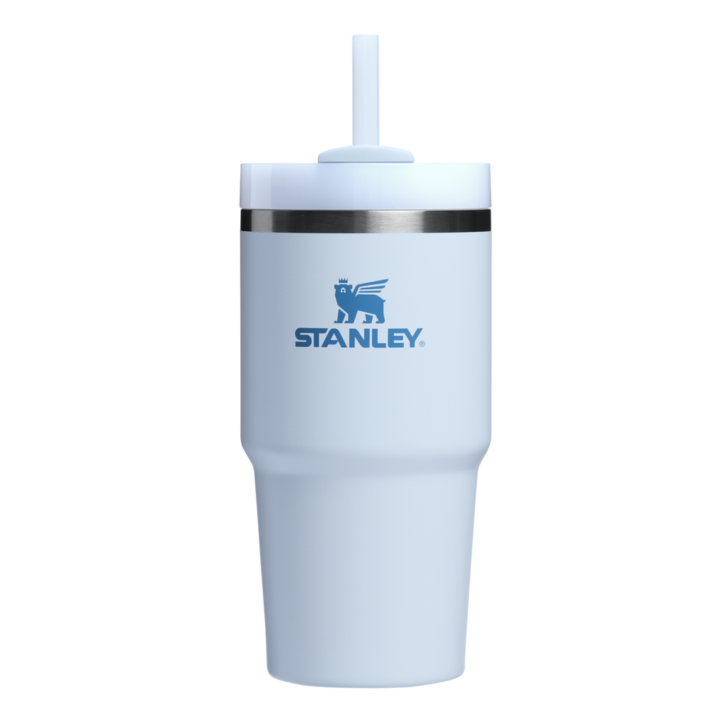 The Quencher H2.0 FlowState™ Tumbler | 20 OZ - Carry the Day