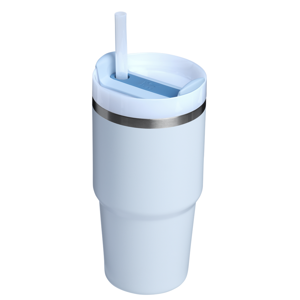 The Quencher H2.0 FlowState™ Tumbler | 20 OZ - Carry the Day