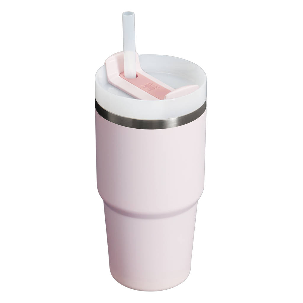 The Quencher H2.0 FlowState™ Tumbler | 20 OZ - Carry the Day