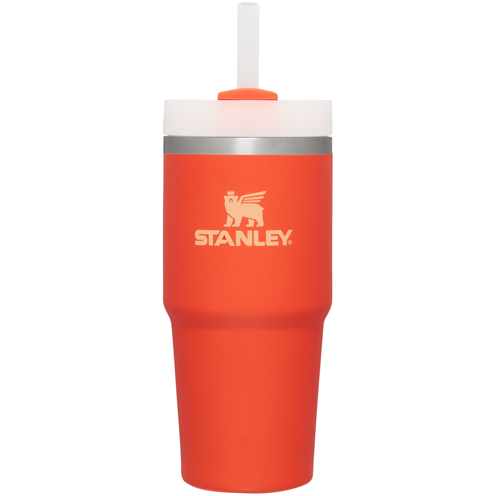 The Quencher H2.0 FlowState™ Tumbler  | 14 OZ - Keep Hydrating
