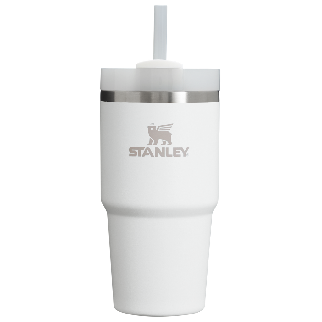 The Quencher H2.0 FlowState™ Tumbler | 20 OZ - Carry the Day