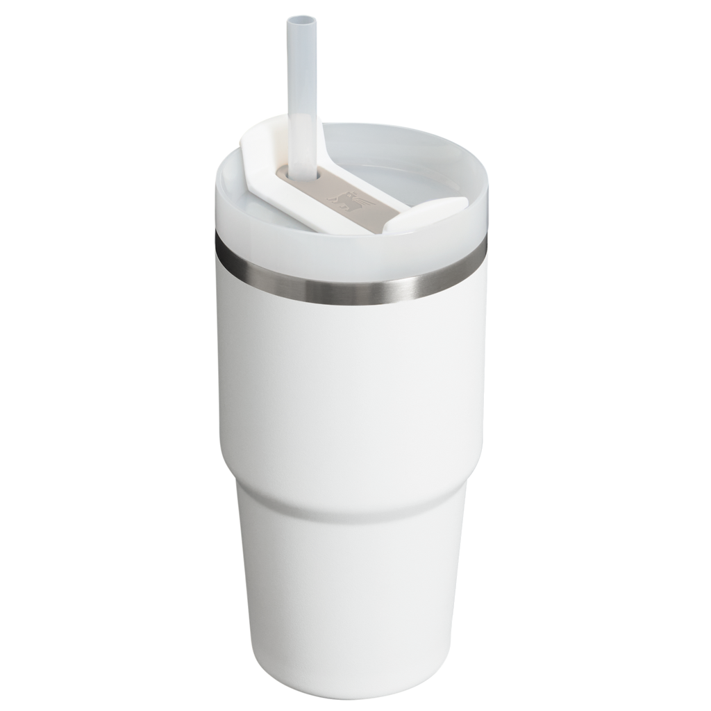 The Quencher H2.0 FlowState™ Tumbler | 20 OZ - Carry the Day