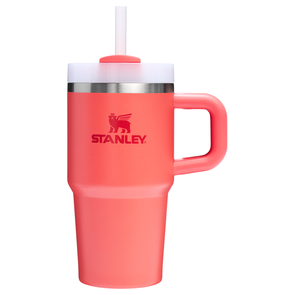 The Quencher H2.O FlowState™ Tumbler with Handle | 20 OZ - Stanley Create - Everyday Sip Routine