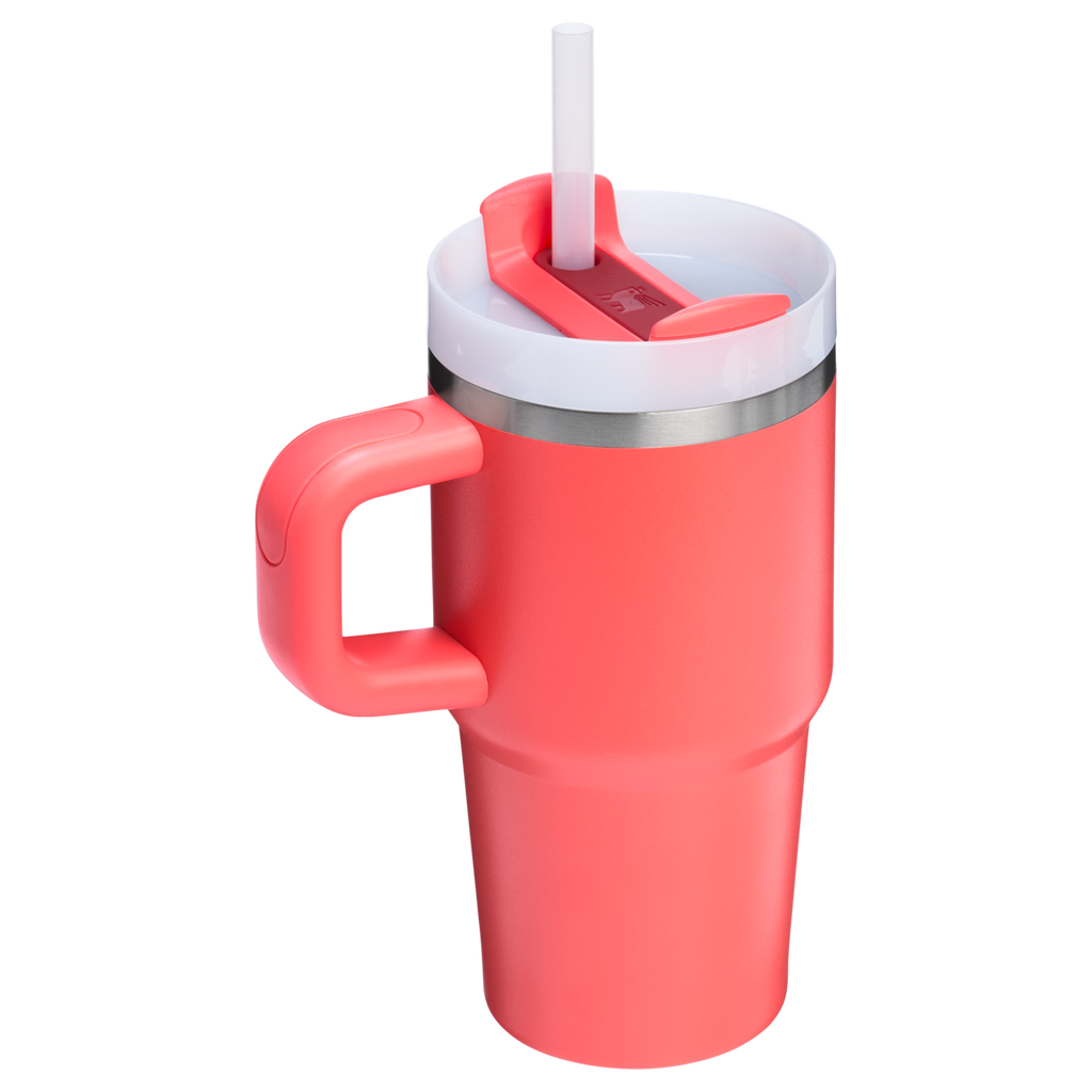 The Quencher H2.O FlowState™ Tumbler with Handle | 20 OZ - Stanley Create - Everyday Sip Routine