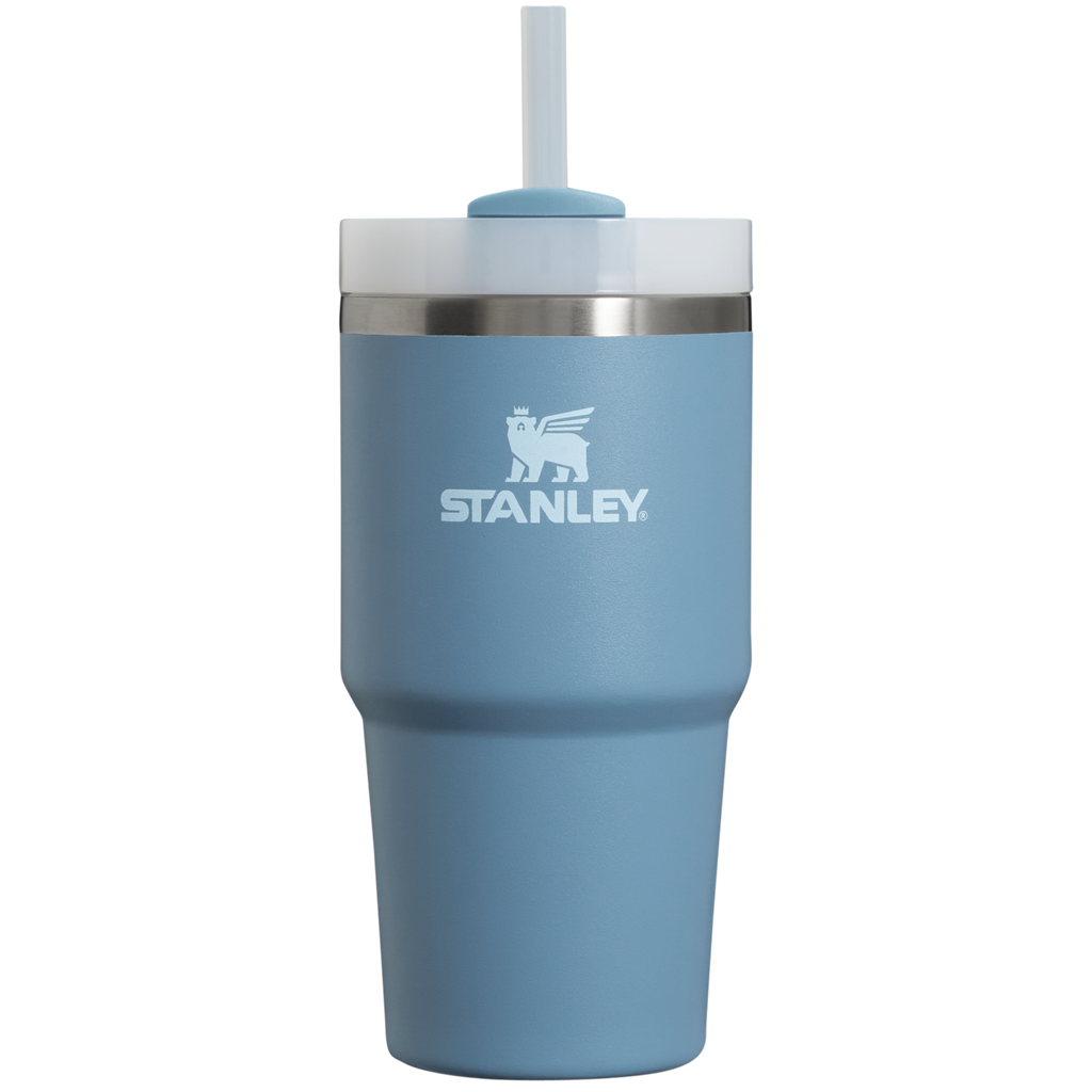 The Quencher H2.0 FlowState™ Tumbler | 20 OZ - Carry the Day