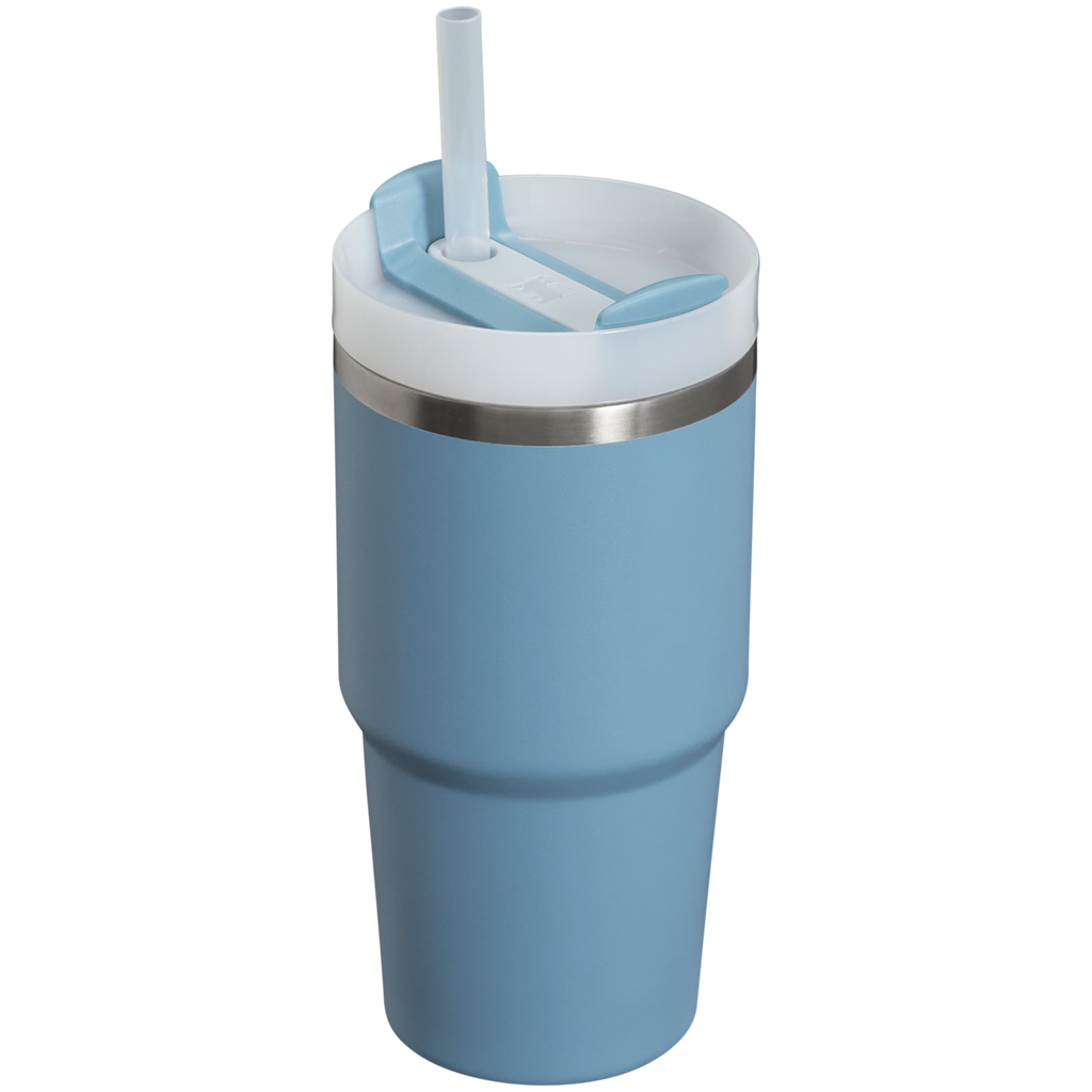 The Quencher H2.0 FlowState™ Tumbler | 20 OZ - Carry the Day
