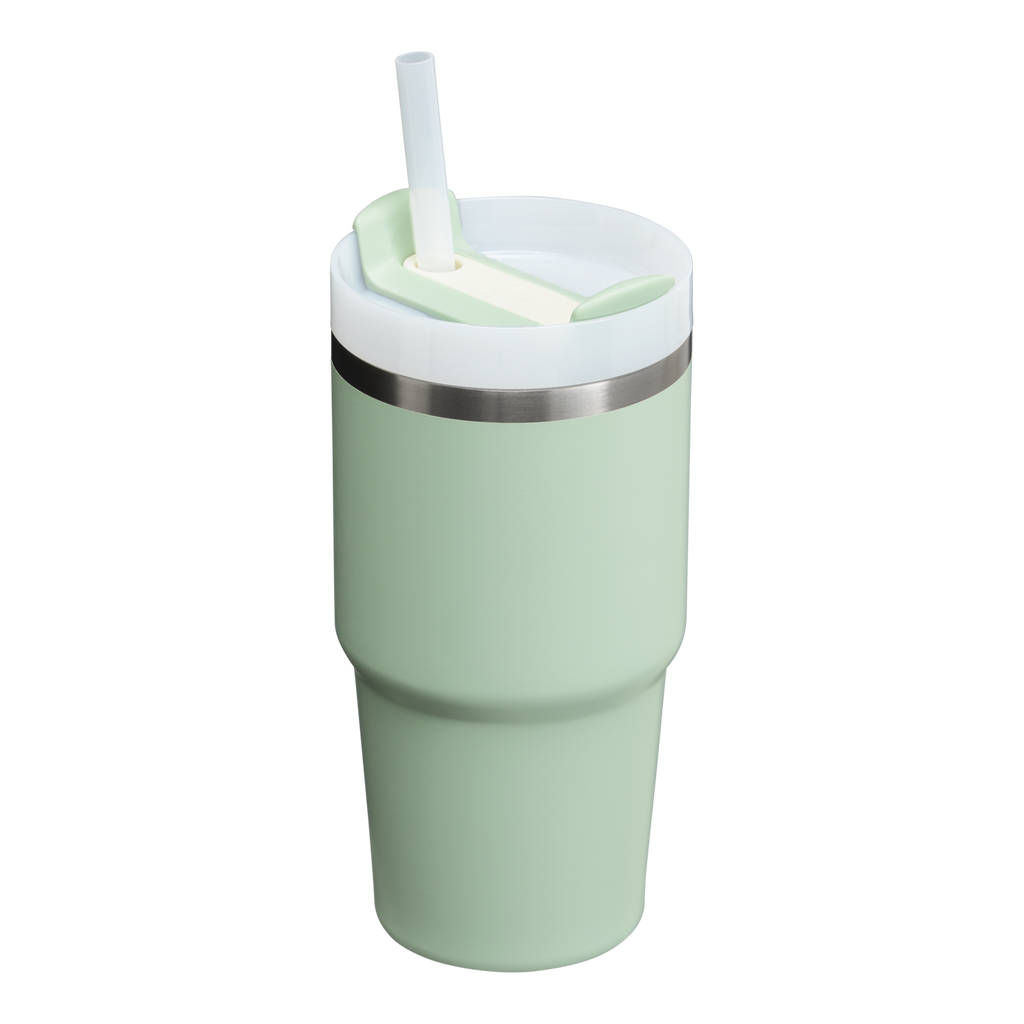 The Quencher H2.0 FlowState™ Tumbler | 20 OZ - Carry the Day