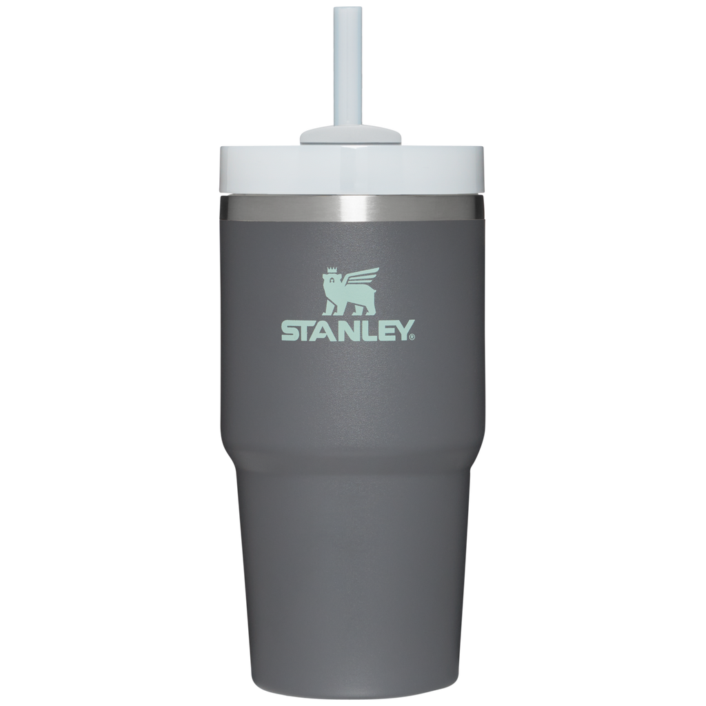 The Quencher H2.0 FlowState™ Tumbler | 20 OZ - Carry the Day