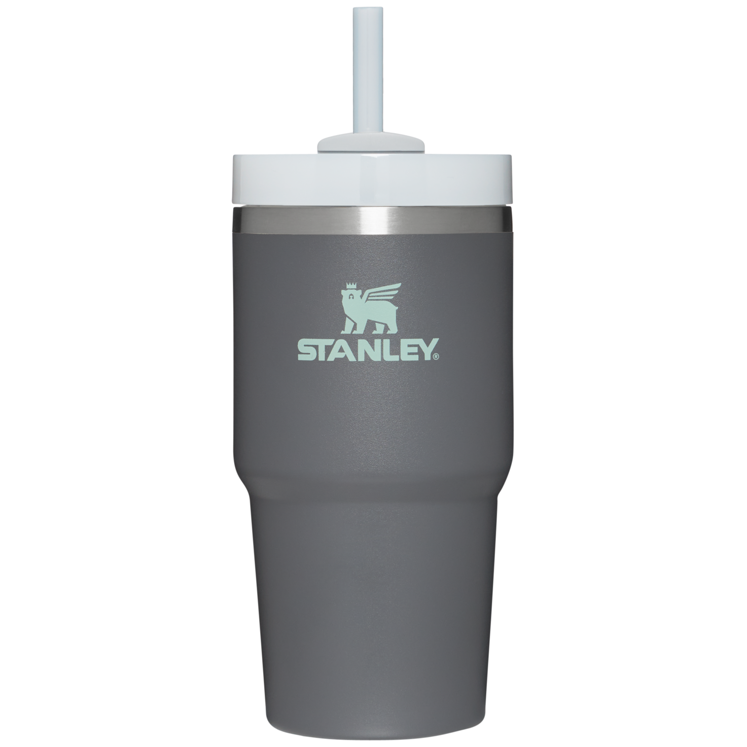 The Quencher H2.0 FlowState™ Tumbler | 20 OZ - Carry the Day