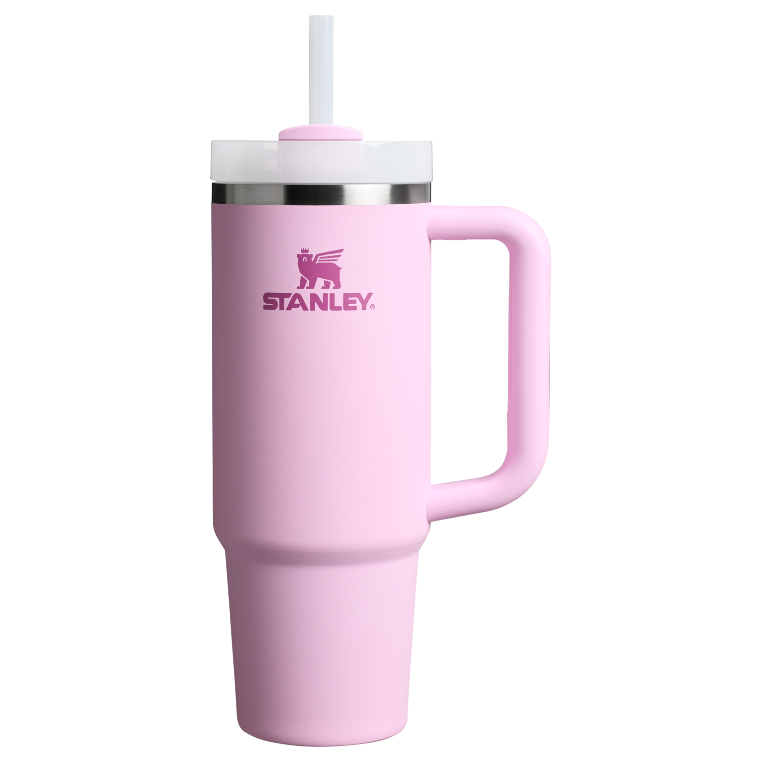 The Quencher H2.0 Flowstate™ Tumbler | 30 OZ - Stanley Create - Daily Sip Energy