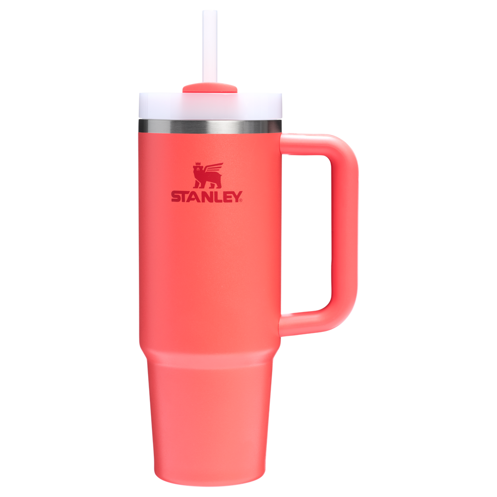 The Quencher H2.0 FlowState™ Tumbler | 20 OZ - Carry the Day