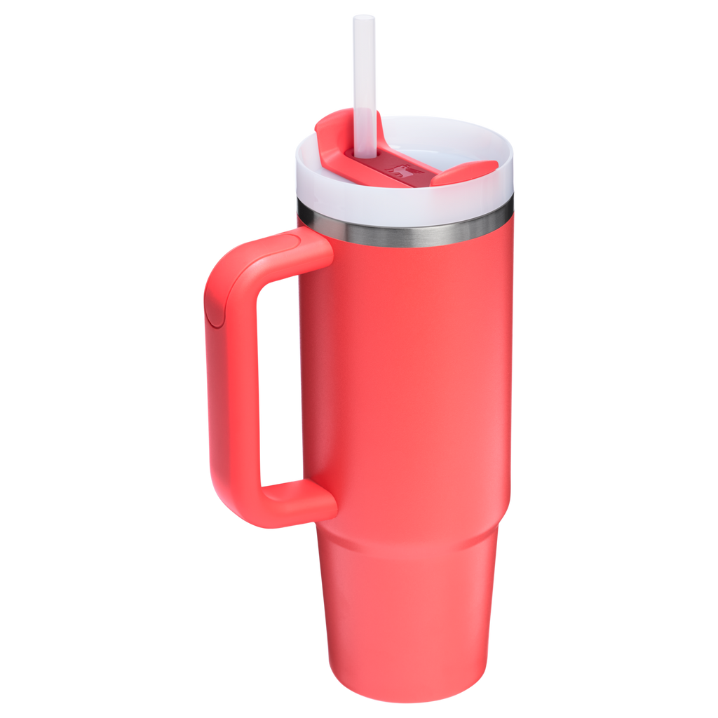 The Quencher H2.0 FlowState™ Tumbler | 20 OZ - Carry the Day