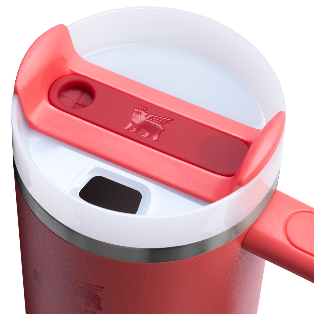 The Quencher H2.0 FlowState™ Tumbler | 20 OZ - Carry the Day