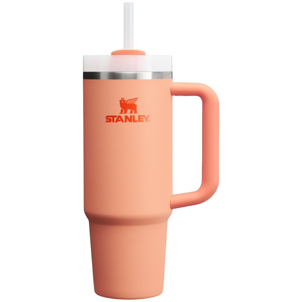The Quencher H2.0 Flowstate™ Tumbler | 30 OZ - Stanley Create - Daily Sip Energy