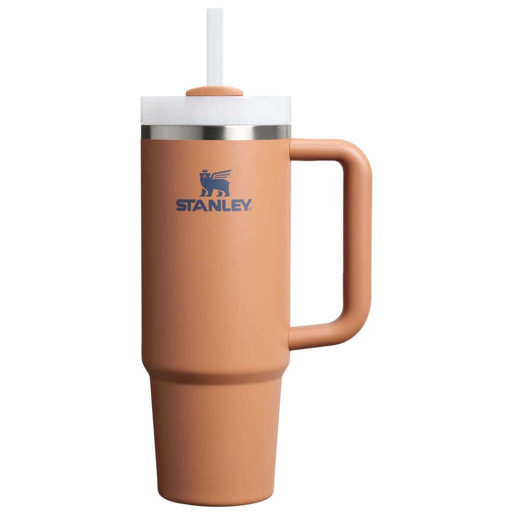 The Quencher H2.0 FlowState™ Tumbler | 20 OZ - Carry the Day