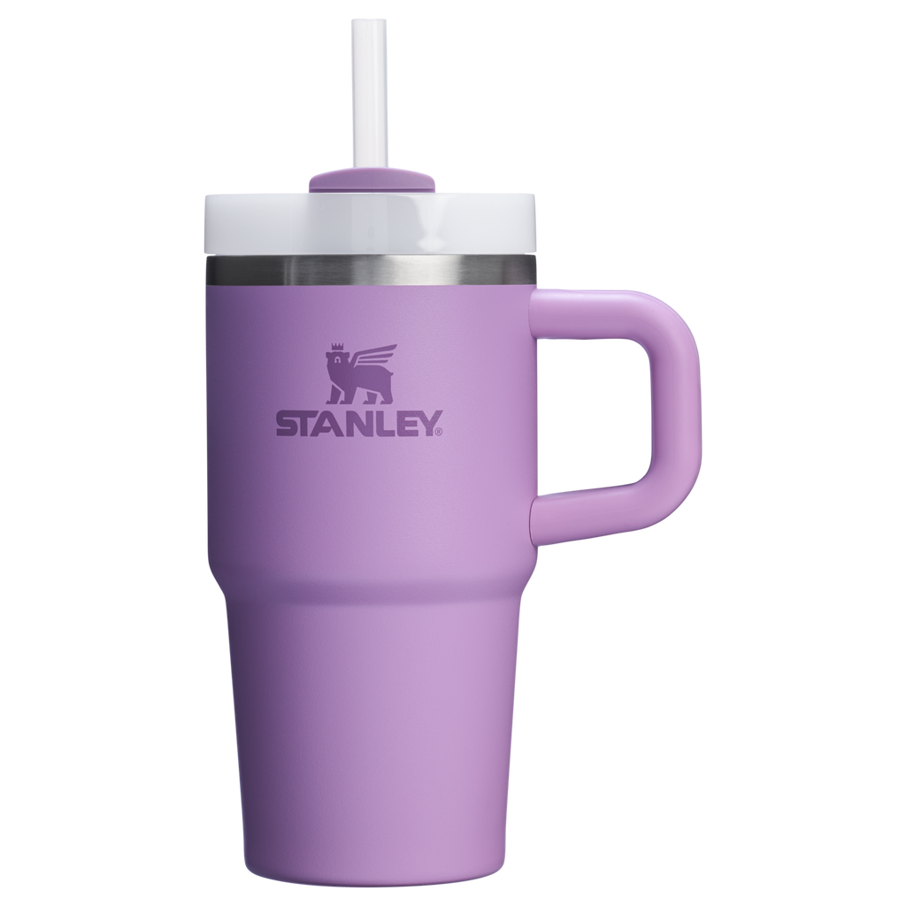 The Quencher H2.O FlowState™ Tumbler | 20 OZ - Stanley Create - One Daily Refill