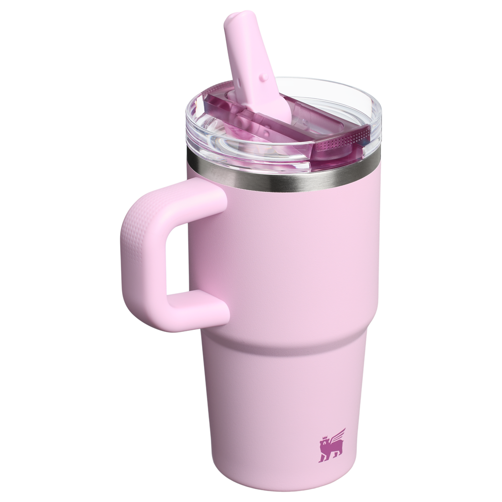 The Quencher ProTour Flip Straw Tumbler | 20 OZ - Daily Cup Essential