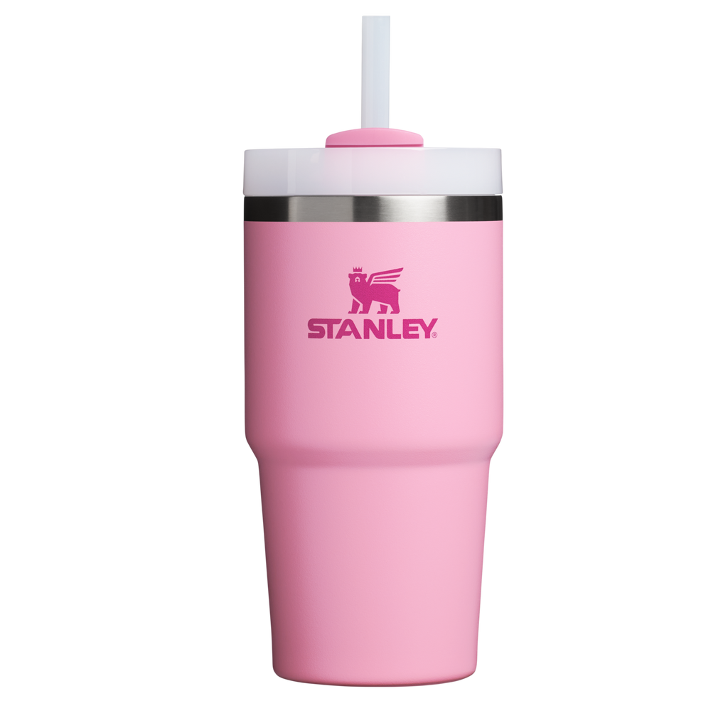 The Quencher H2.0 FlowState™ Tumbler | 20 OZ - Carry the Day